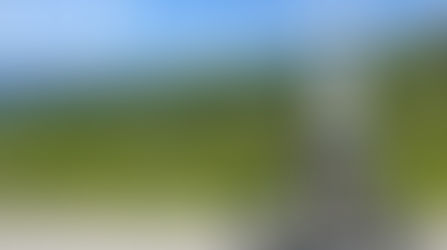 A Bumpy Year, and What It Taught Me About Resilience