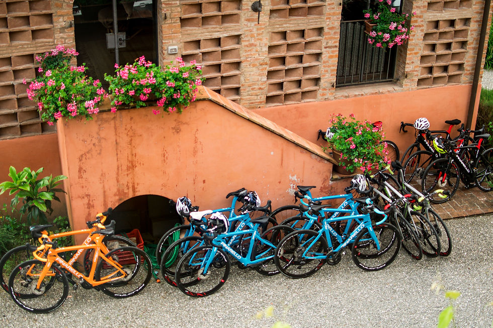 Cycling in Lucca