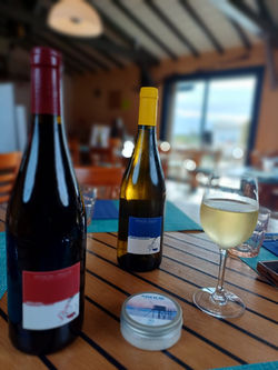 Vin biologique Pithon-Paillé