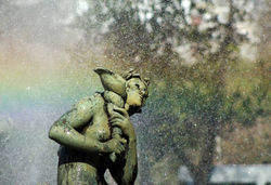 47 nicoparuzzolo plaza rocha_1