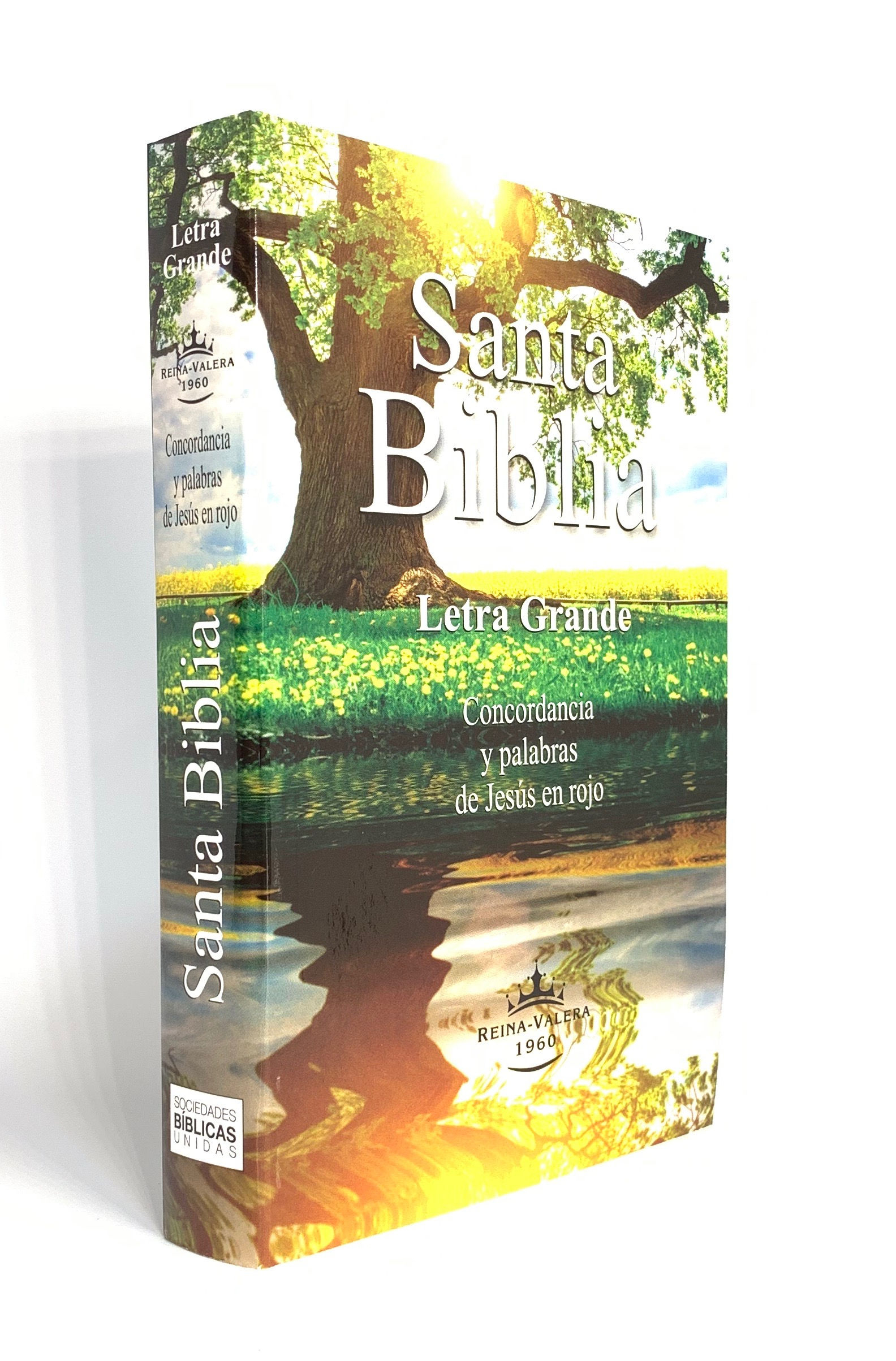 REINA VALERA 1960, LETRA GRANDE, TAPA FLEXIBLE CON PALABRAS DE JESÚS EN ROJO
