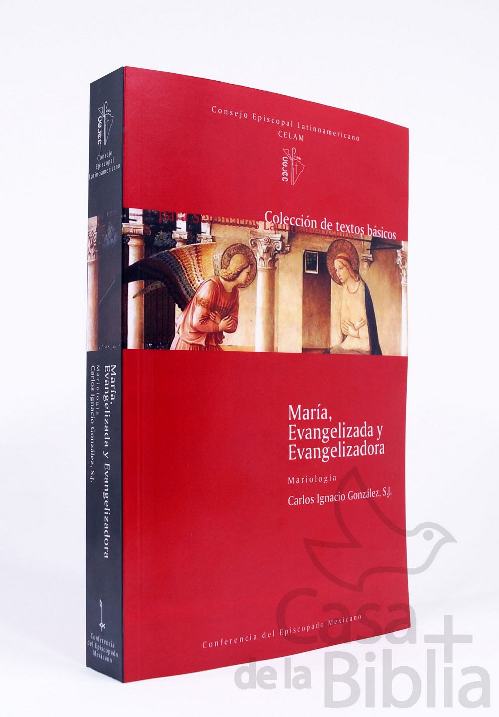 MARÍA EVANGELIZADA Y EVANGELIZADORA
