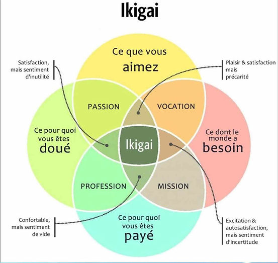 Ikigai le monde.jpeg
