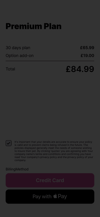 checkout page with apply pay and credit card in modern agents page
