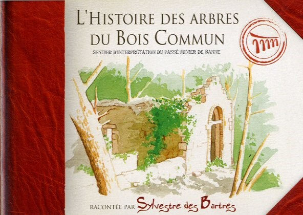 Bois commun histoire