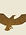 Capture logo aigle