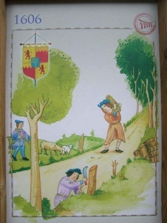 Bois commun images