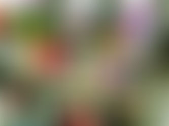 Panis et Circenses: uma ruptura colorida chamada Tropicália