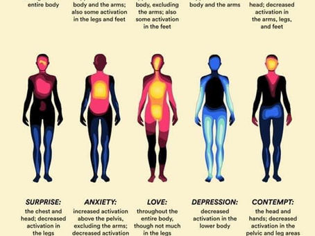 The Emotional impact on health