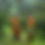 Thumbnail: Tiny Temple Green
