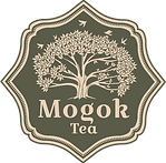 logo-main.png