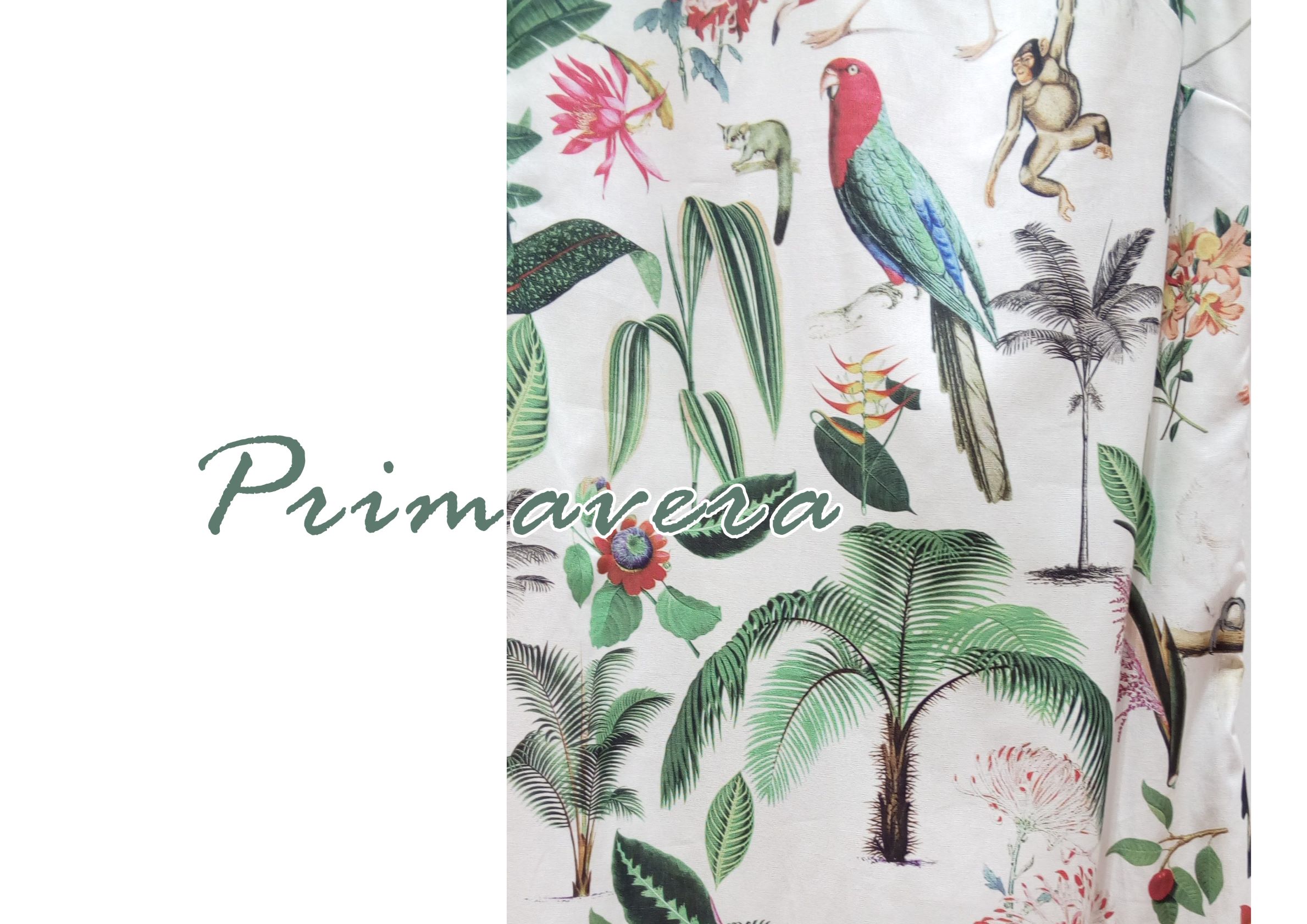 Campanha Primavera 2019