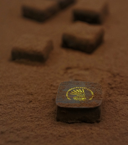 un bonbon de chocolat, une ganache amérique du sud 70%