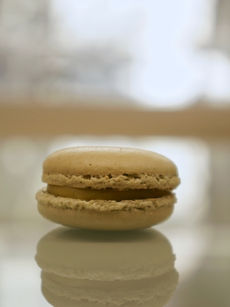 A Montpellier chez Chocolats Thierry papereux retrouvez le macaron Avocat
Pamplemousse
Poivre de Timut