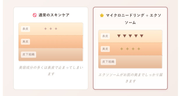 💎 エクソソームってなに？