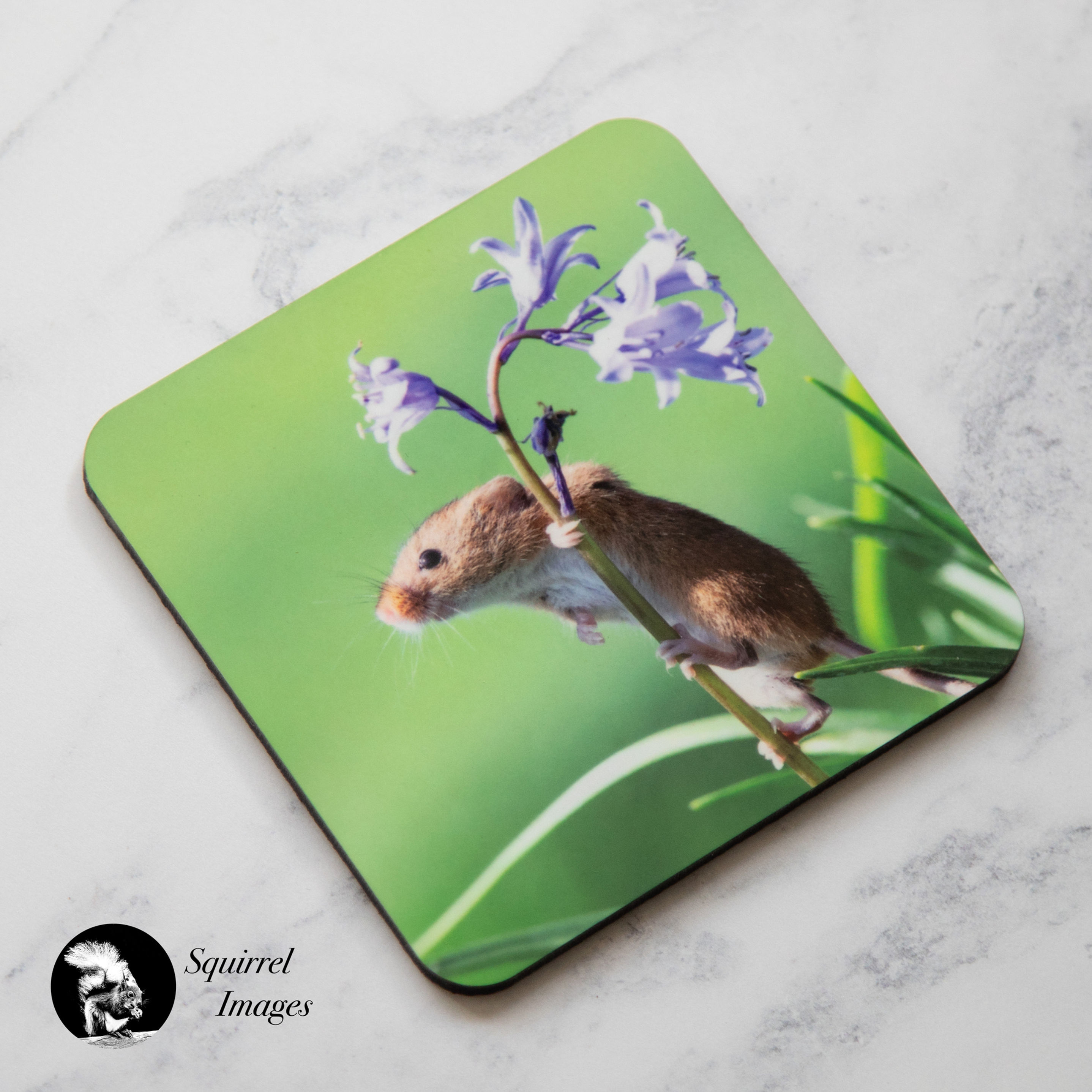 Harvest mouse on bluebell coaster - cork backed