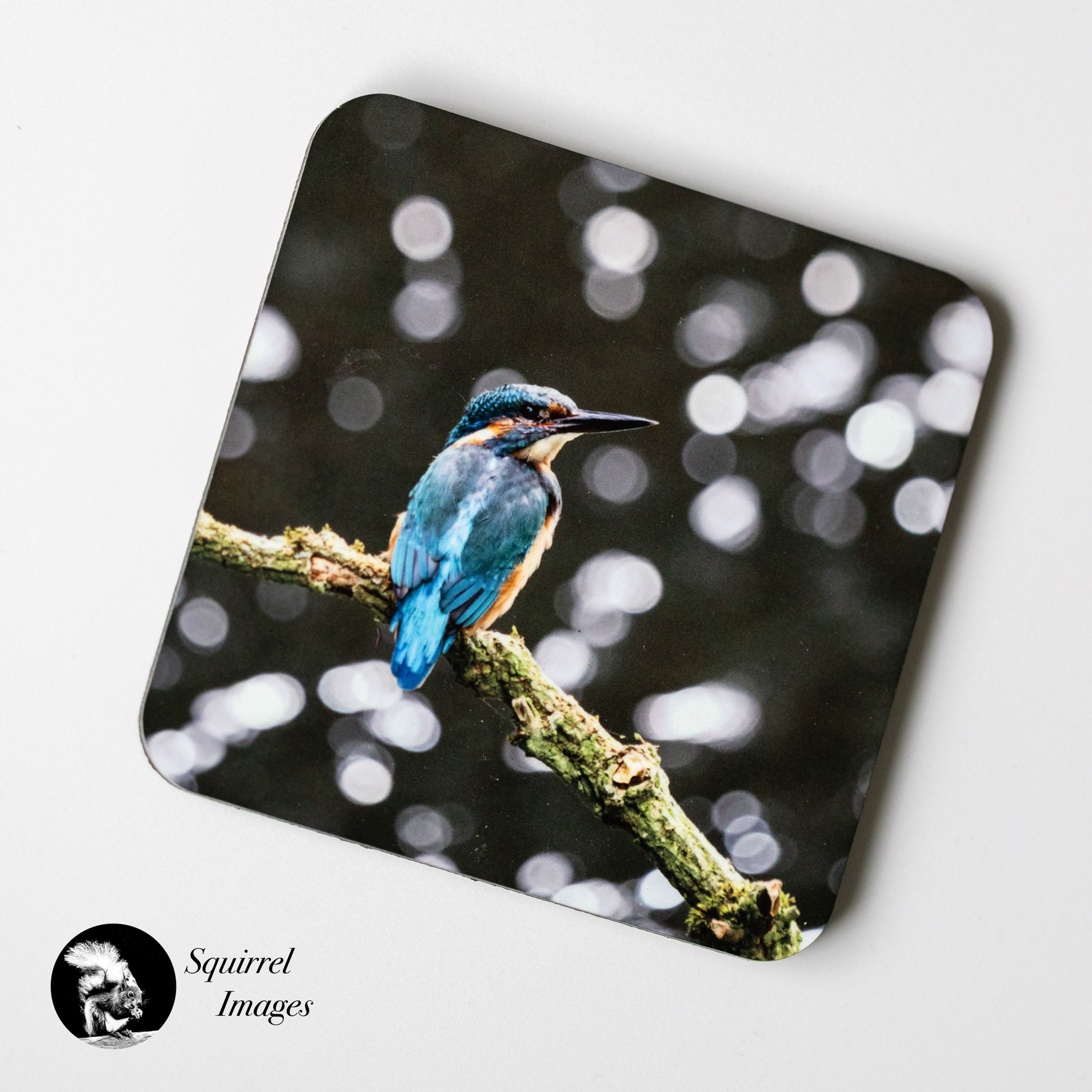 Kingfisher coaster - cork backed