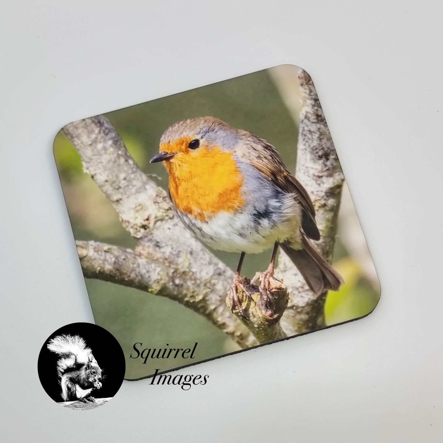 Robin coaster - cork backed