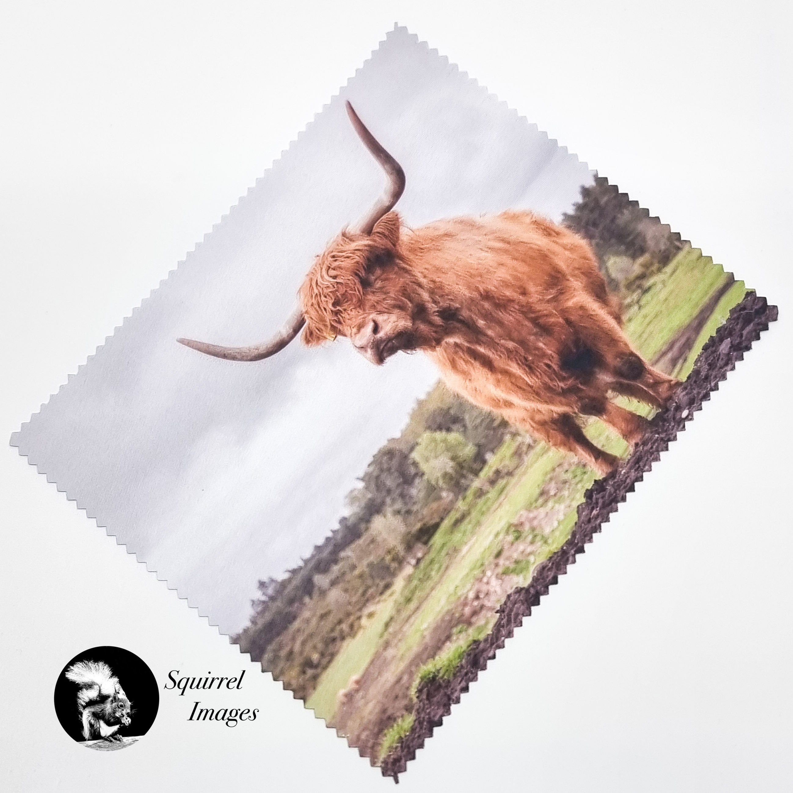 Highland cow lens cloth
