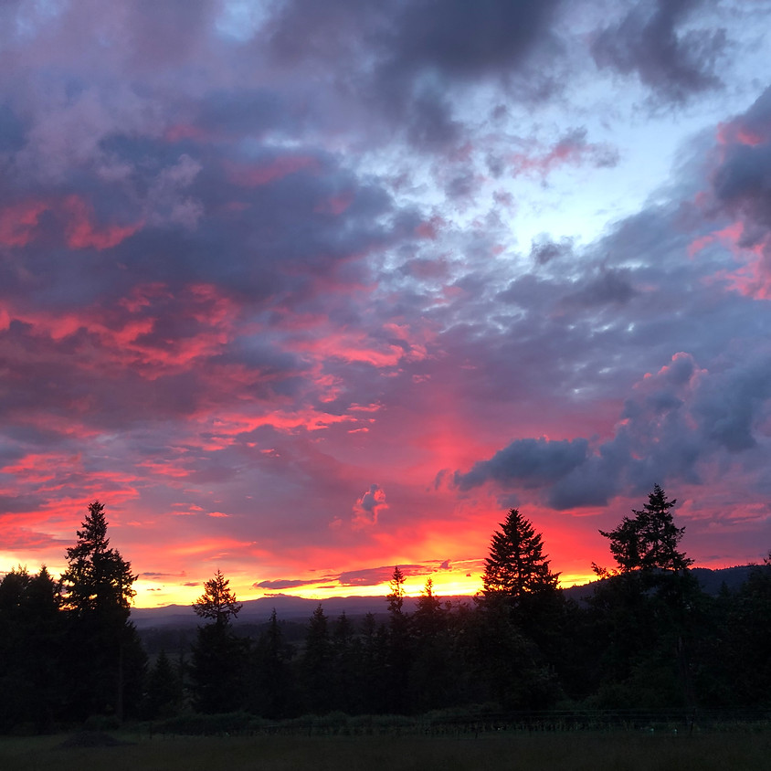 Summer Sunset Soirée