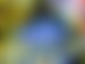 2021.11.7 大東洋東通り店 店長ブログ公開!