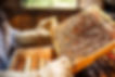 AdobeStock_53055740.jpeg