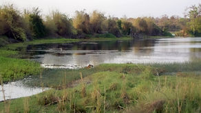 Agarjari hidden jewel of Tadoba