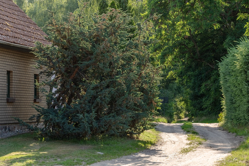 230704_1831-9827-HDR