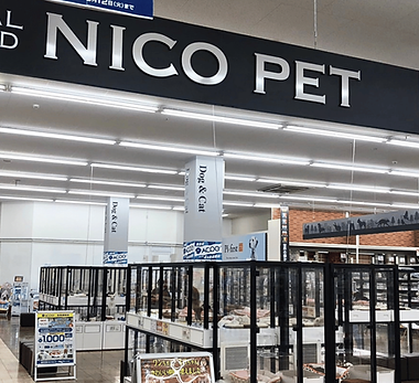 NICOPET東大阪店の店内(大阪府東大阪市のペットショップ)