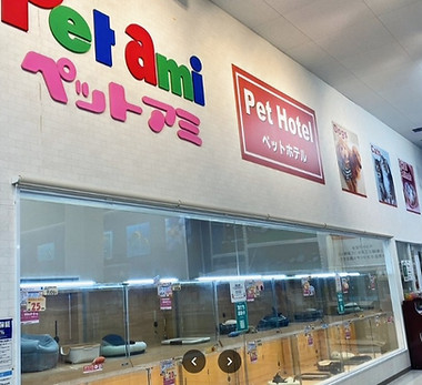 ペットアミ四街道店の店内(千葉県四街道市のペットショップ)
