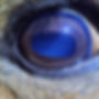 334223936_216549084365614_7861082143735809330_n.jpg