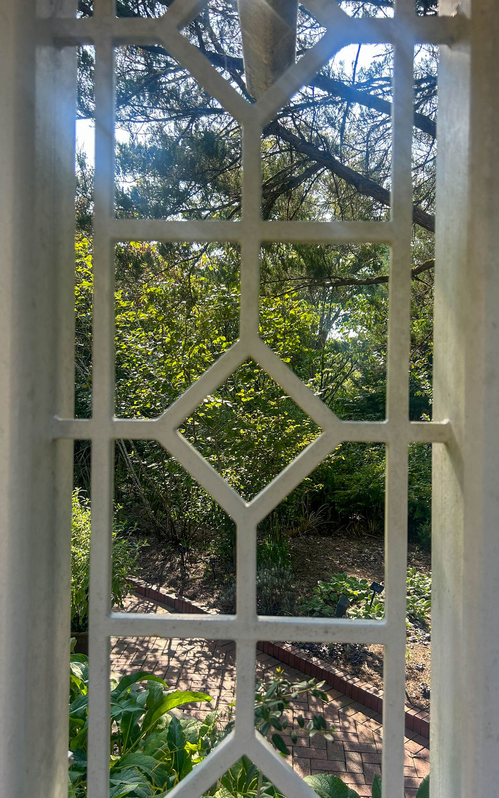 Window
-Captured with a DSLR camera
-ISO 100
-Aperture 5.6
-Shutter speed 1/100th
-Edited using Lightroom