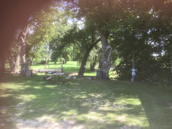 Site #9