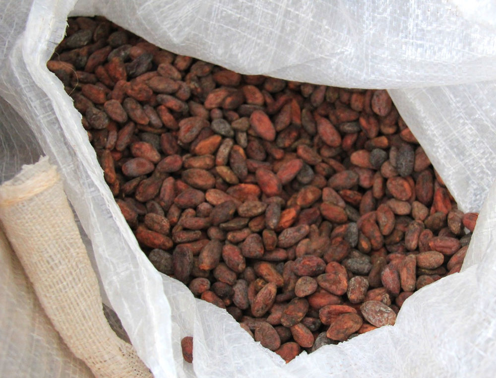 A long weekend in Grenada Island tour to the Diamond chocolate