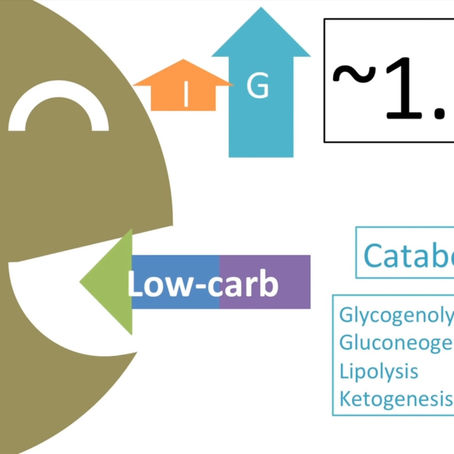1. 我的感悟: 吃出健康 轻松减肥 -- 食物是最好的减肥药