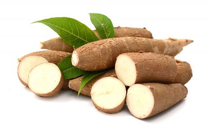 YUCA.jpg