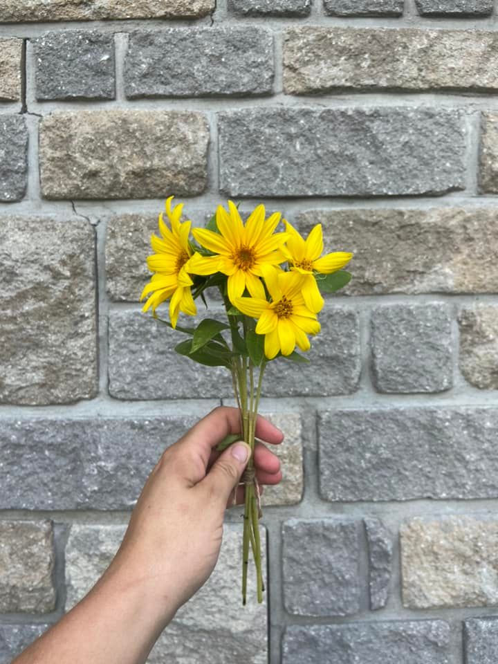 FRESH FLOWERS I ABERDEEN ACRES HOMESTEAD