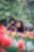 pexels-tuấn-kiệt-jr-1765412.jpg