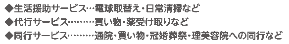 生活援助サービス　電球取替え・日常清掃など　代行サービス　買い物・薬受け取りなど　同行サービス　通院・買い物・冠婚葬祭・理美容院への同行など