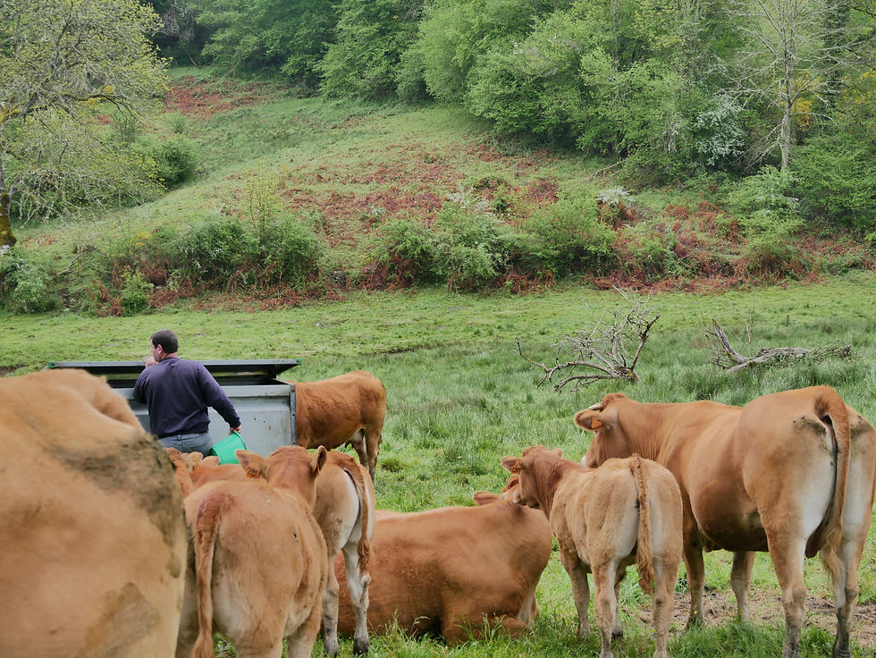 Les difficultés d'être paysan aujourd'hui