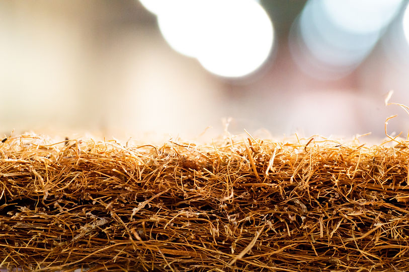 Coconut coir. Grated coconut shell for t