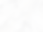 bg (2).png