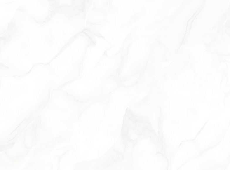 bg (2).png
