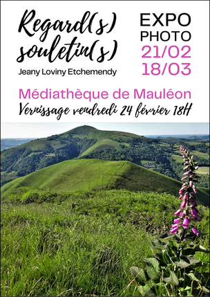Regard(s) souletin(s)