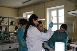 ZAJCIA W INSTYTUCIE CHEMII