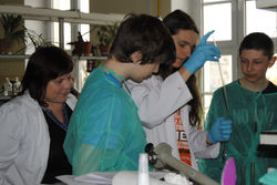 ZAJCIA W INSTYTUCIE CHEMII