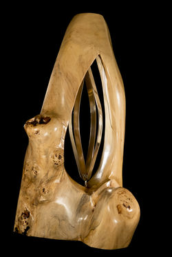 Sin tÃtulo / No Title