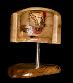 Sin TÃtulo/ No title