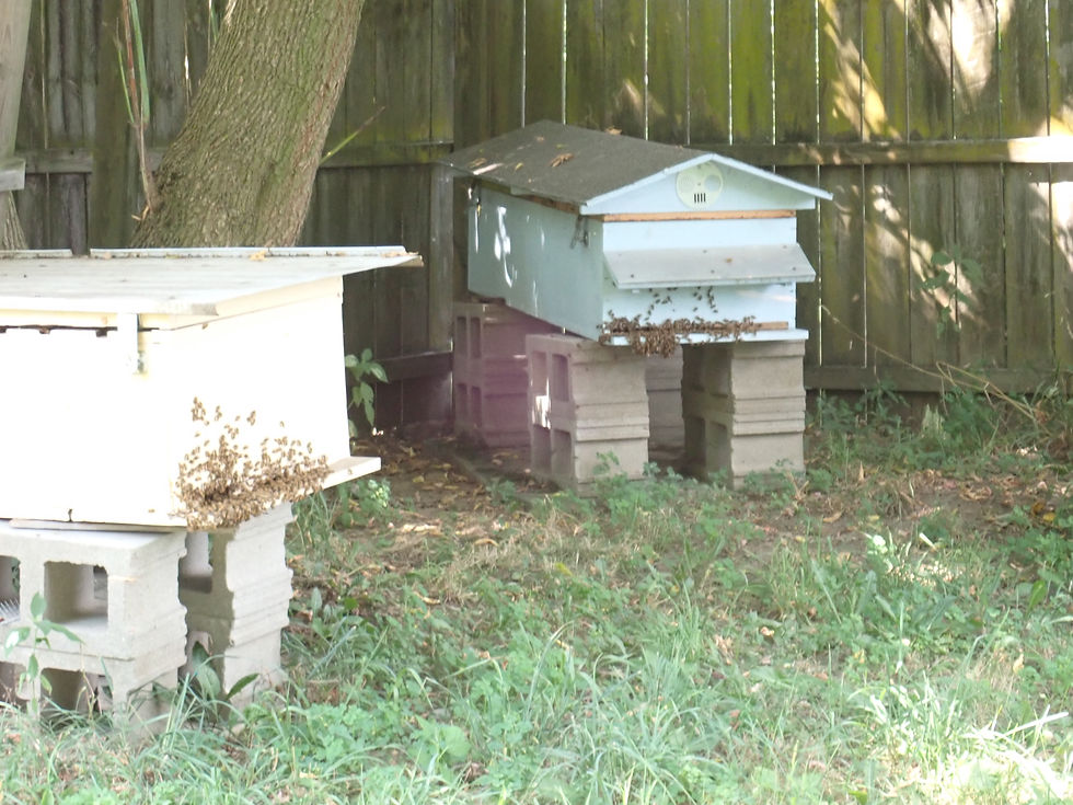 Hives on a hot summer day after being opened