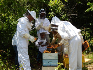 July Field Day